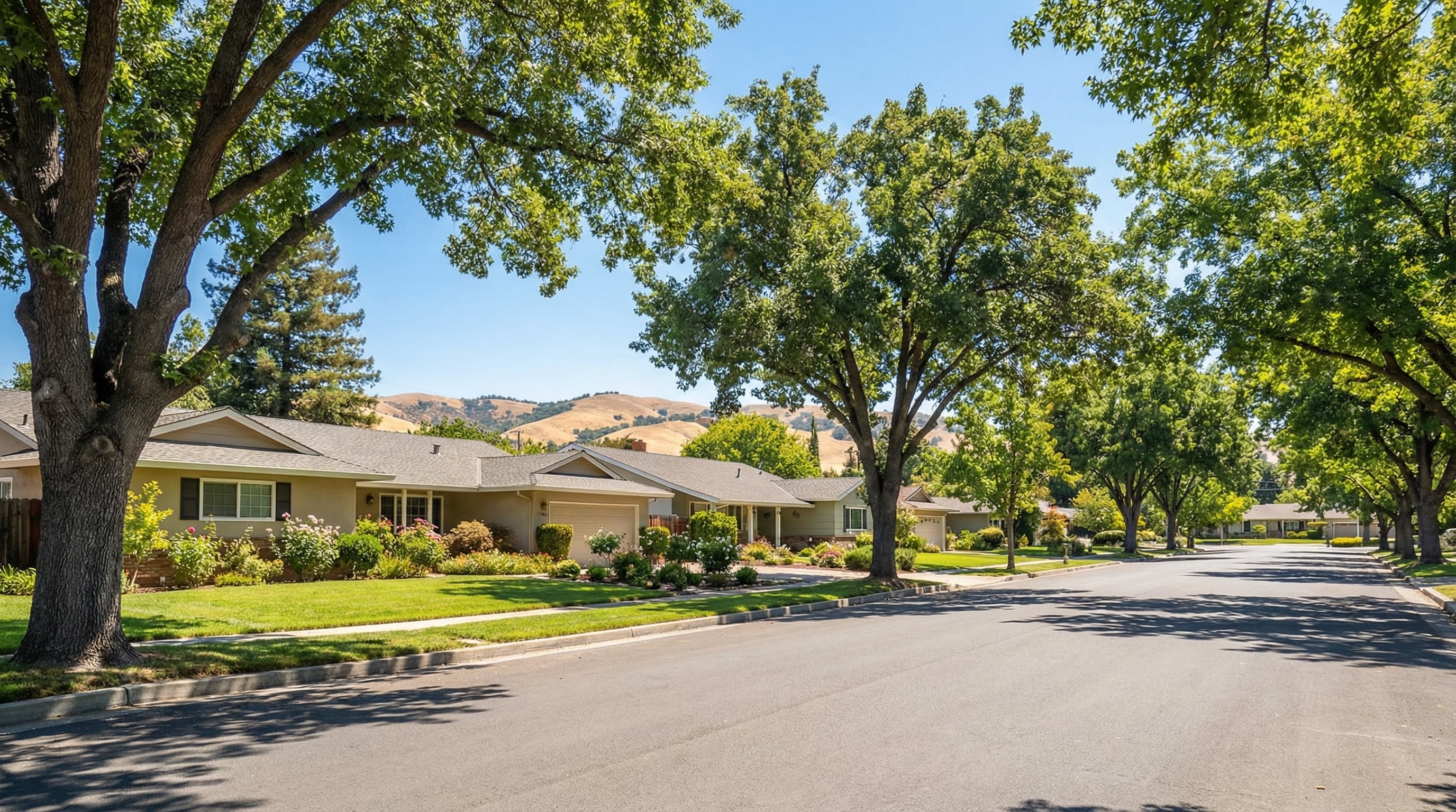 Established Citrus Heights California residential community with mature single family neighborhoods, large oak trees providing shade, and well-maintained streets